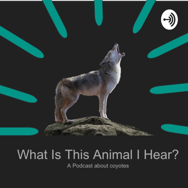 What is this Animal I Hear? Artwork