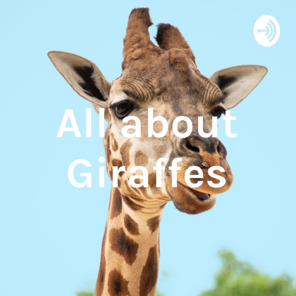 All about Giraffes Artwork