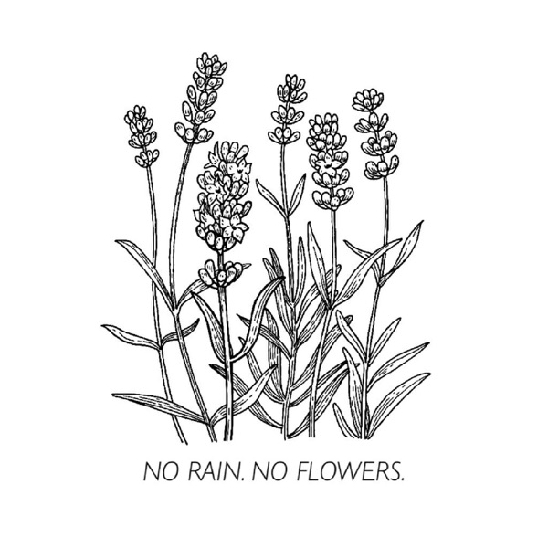 No Rain No Flowers Artwork