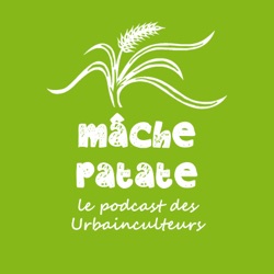 Mâche-patate présente : Enracinés