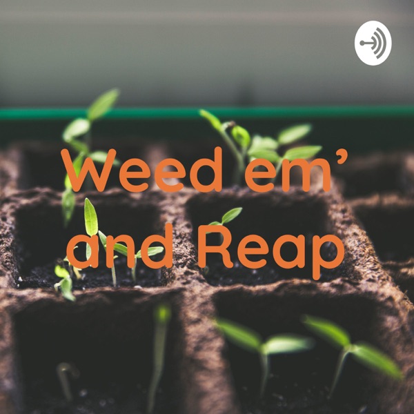 Weed em’ and Reap Artwork