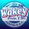 All Wakey Aren't We artwork