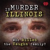 Murder in Illinois artwork