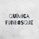 Química FUNBOSQUE