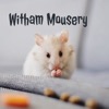 Witham Mousery
