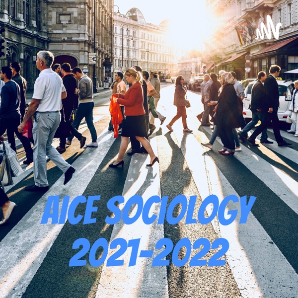 AICE Sociology 2021-2022 Artwork