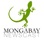 Mongabay Newscast