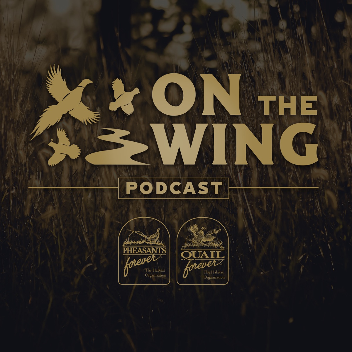 On The Wing Podcast – Podcast – Podtail