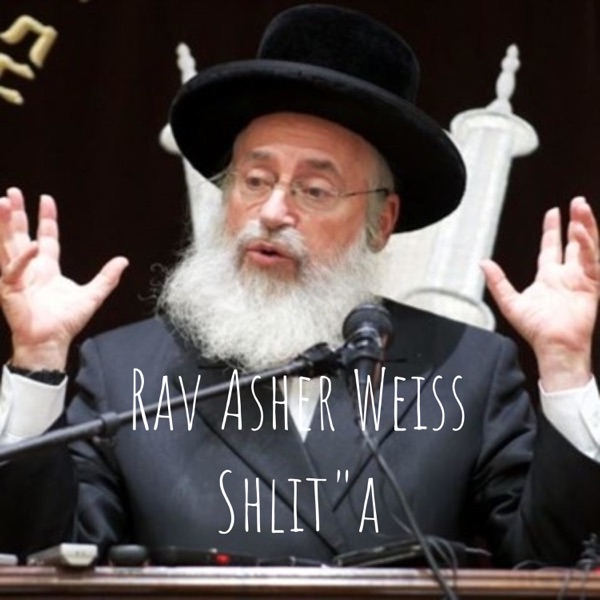 Rav Asher Weiss Shlit"a