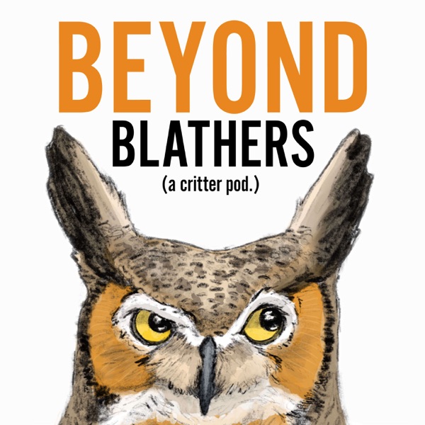 Beyond Blathers Artwork