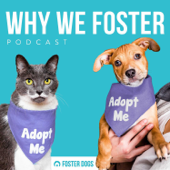 Why We Foster - Foster Dogs, Inc.