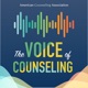 The Voice of Counseling