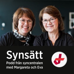 41. Sammanfattning för personal som träffar personer med synnedsättning