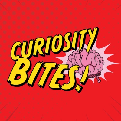 Curiosity Bites Curiosity Bites