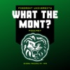What the Mont? artwork