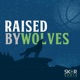 Flagrant Howls - a Minnesota Timberwolves podcast