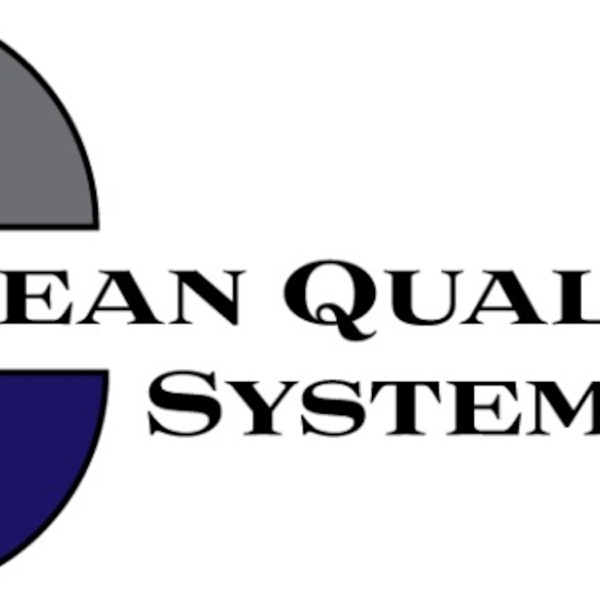 Lean Quality Systems, Inc. Artwork
