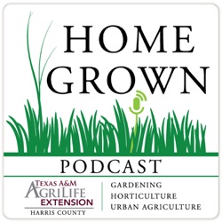 Episode #16 Dr. Becky Bowling - Urban Water Extension Specialist & Assistant Professor, Texas A&M AgriLife Extension & TWRI