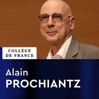 Processus morphogénétiques - Alain Prochiantz podcast