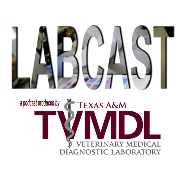 LABCAST: A TVMDL podcast Artwork