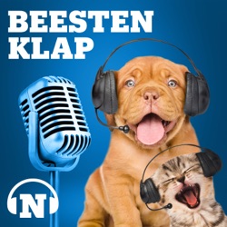 De Hond. Bijten blaffende honden écht niet?