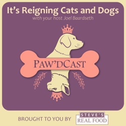 It's Reigning Cats and Dogs