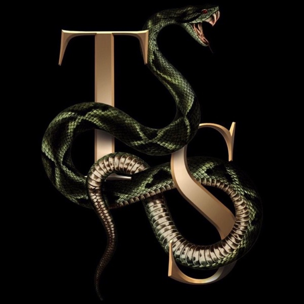 The Evolution of a Snake