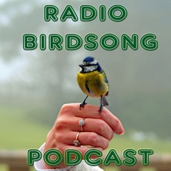 Quentin Howard's Original Radio Birdsong Podcast