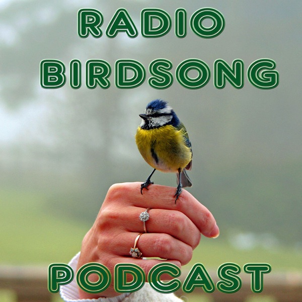 The Radio Birdsong Podcast Artwork