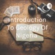 Introduction To Geology Of Nigeria 