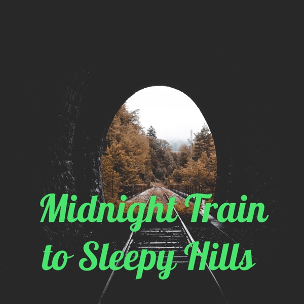 Midnight Train to Sleepy Hills Artwork