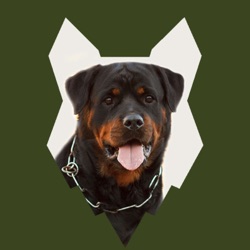 How To Stop Your ROTTWEILER BITING