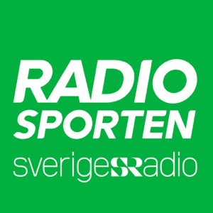 Ishockey