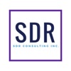 SDR's Business Basics artwork