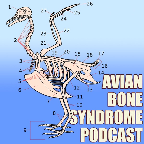 Avian Bone Syndrome Podcast Artwork