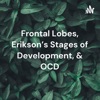 Frontal Lobes, Erikson's Stages of Development, & OCD artwork