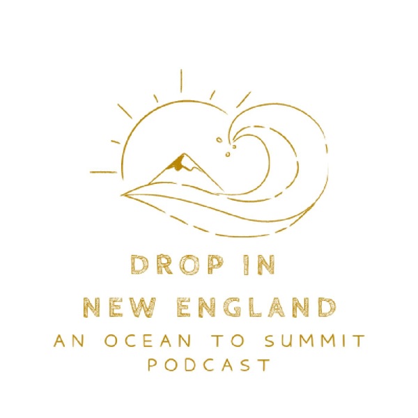 "DROP IN New England" Artwork
