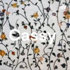 Cassy artwork
