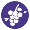 Grapehunters ´the liquid audio experience´
