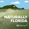 Naturally Florida artwork