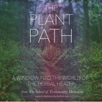 The Role of Astrology in Holistic Herbalism
