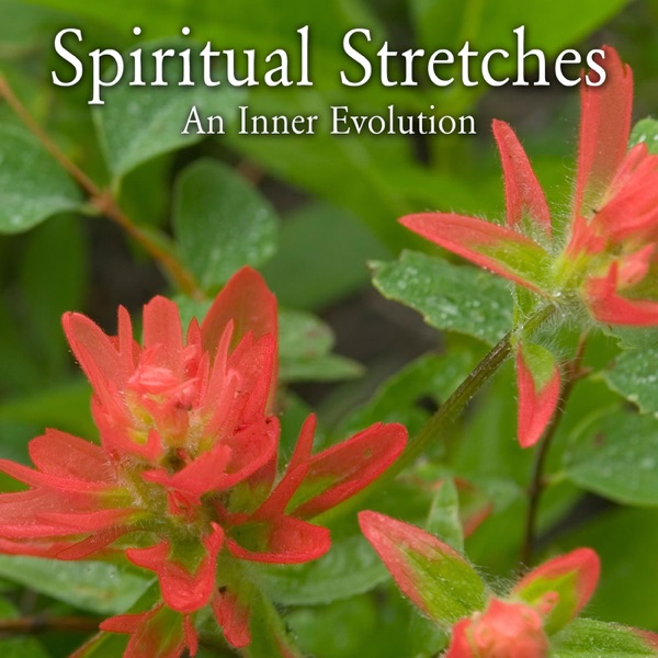 Spiritual Stretches Artwork