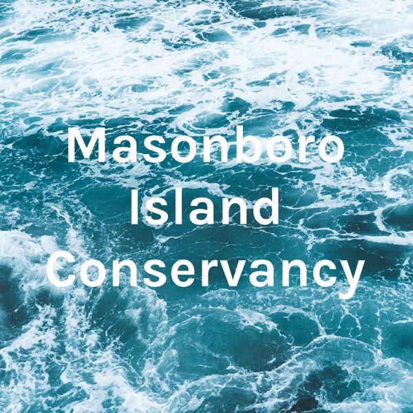 Masonboro Island Conservancy Artwork