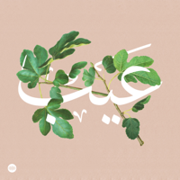 Eib | عيب podcast