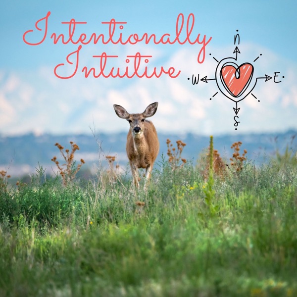 The Intentionally Intuitive Podcast image