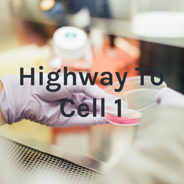 Highway To Cell 1 Artwork