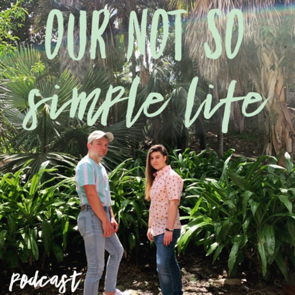Our Not So Simple Life Artwork