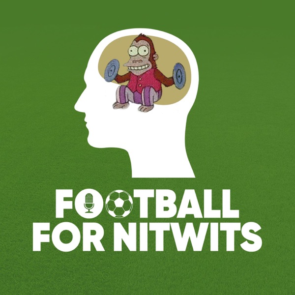 Football for Nitwits Artwork