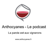 Anthocyanes - le podcast par Yohan Castaing - Anthocyanes - le podcast