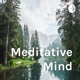 Meditative Mind (Trailer)